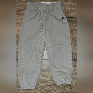Adidas Gray Aeroready Size XS gender neutral Baseball Pants